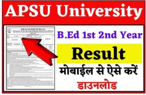 APSU B.Ed Result 2024